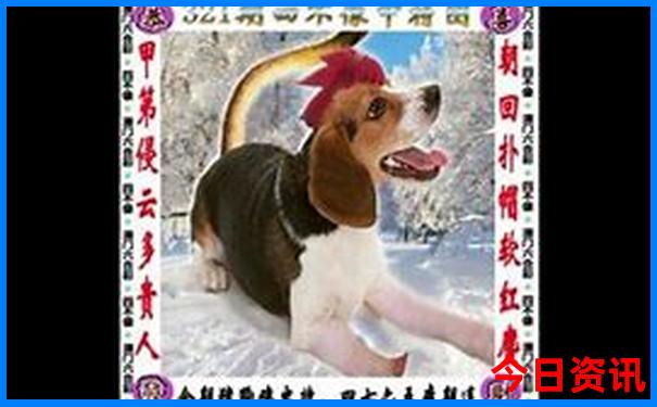 昆明十大免费景点